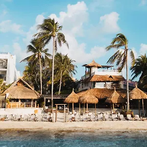 Colibri Playa del Carmen